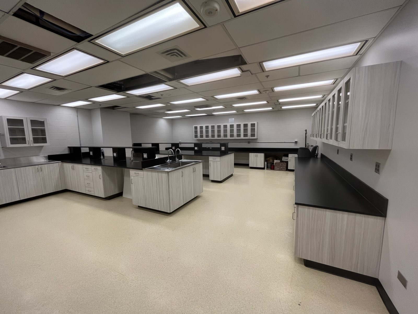 Laboratoire rénové et spacieux doté de comptoirs noirs, d’armoires claires, d’éviers intégrés et de plafonniers fluorescents. 